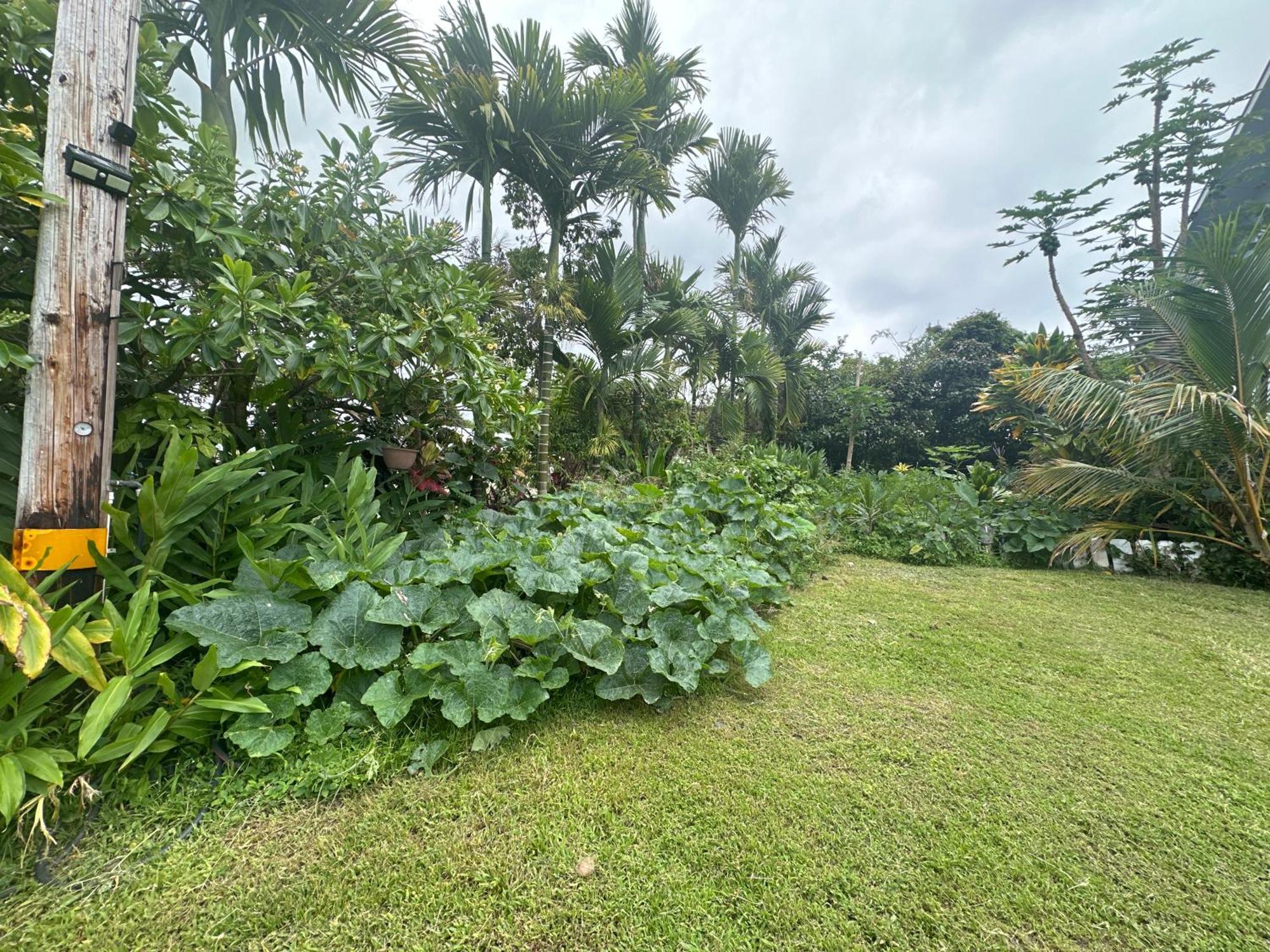 Hawaiian Ohana Home Hilo Exterior photo